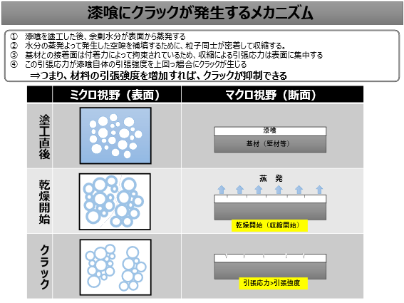 CNF（セルロースナノファイバー）の顕微写真